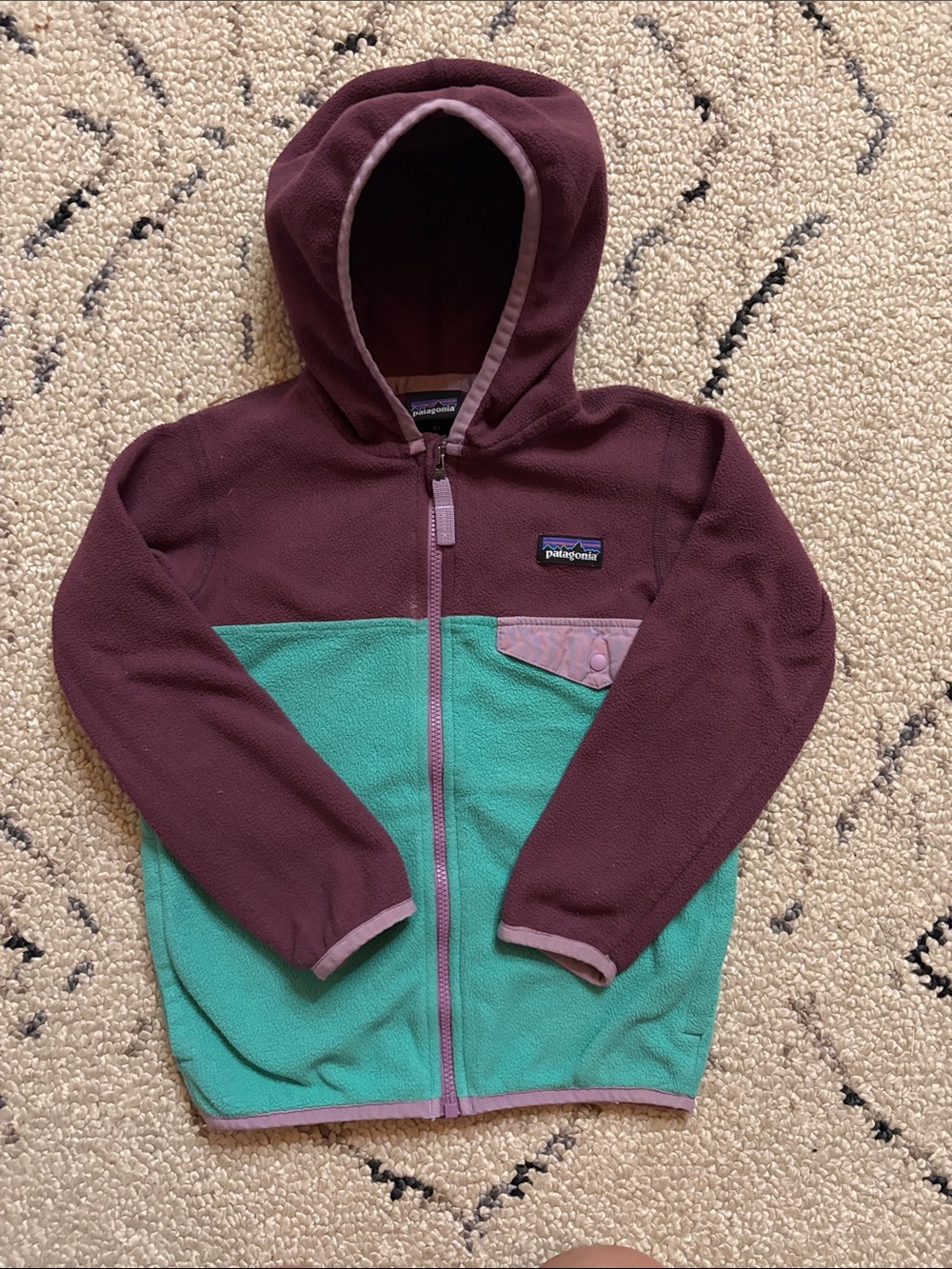 Patagonia Kids Fleece Jacket (4T)
